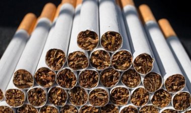 العضو المنتدب لـ الشرقية للدخان: حيتان السجائر تربح 4.5 مليار جنيه شهرياً