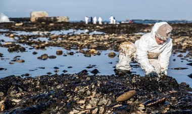 علماء  يبتكرون مادة تنقي الماء من النفط في روسيا