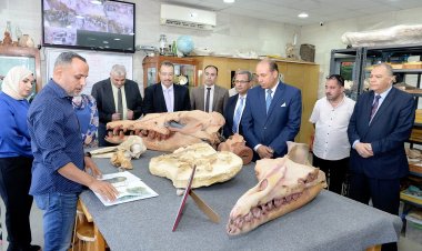 جامعة المنصورة تحيي الذكرى المئوية لاكتشاف مقبرة توت عنخ آمون