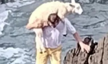 رجل إنجليزي يخاطر بحياته  لإنقاذ خروف