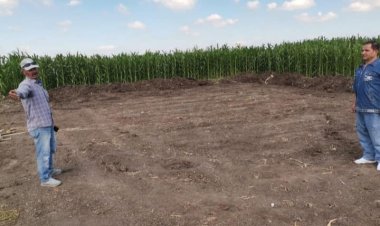 إزالات فورية لـ 12 حالة تعد على أراض زراعية بمركزى كفر الشيخ والحامول