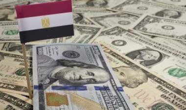 قبل طرحها رسميًا.. تفاصيل أول وثيقة معاش بالدولار للمصريين بالخارج