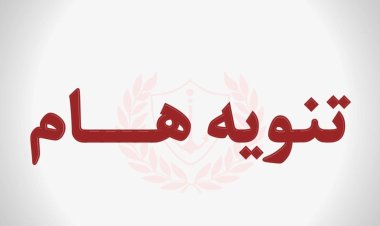 محافظة بورسعيد: فتح باب التخلفات للذين لم يتمكنوا من استلام فيزا المنطقة الحرة