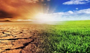 إعلامية تحذر من مخاطر التغيرات المناخية والذكاء الاصطناعي على العالم