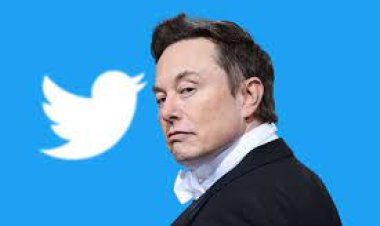 إيلون ماسك يعرض لافتات وشعار تويتر السابق في مزاد علني