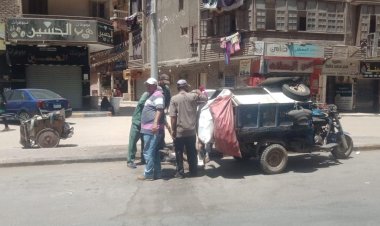 محافظة الجيزة تشن حملة لإزالة التعديات في الكونيسة