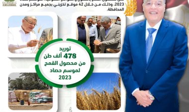شون وصوامع المنيا تواصل استقبال القمح .. وتوريد 478 ألف طن