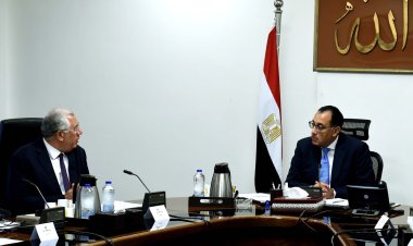 الحكومة: إجمالى تمويل المشروع القومى للبتلو بلغ حتى الآن نحو 8 مليارات جنيه