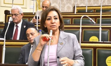 النائبة مها عبد الناصر: الدولة تنفق مليارات على كتب مدرسية «بتترميّ في الزبالة»