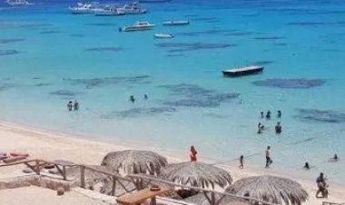 عاجل.. الأرصاد تحذر المصطافين من اضطراب الملاحة وارتفاع الأمواج بالبحر الأحمر