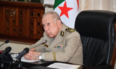 الفريق أول شنقريحة : يجب دعم الدول الإفريقية للتكفل السيادي بمشاكل القارة بعيدا عن التدخلات الأجنبية