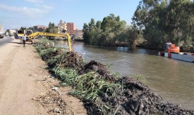 حملات نظافة وإزالة إشغالات وتطهير مصارف في كفر الشيخ