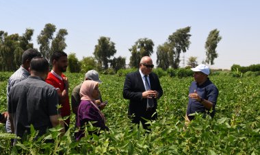 ضمن مشروع الـ 1000 فدان .. الداودي يتفقد محصول الفول الصويا بمدينة قنا