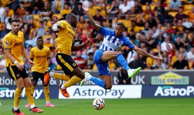 برايتون يسحق وولفرهامبتون برباعية في البريميرليج