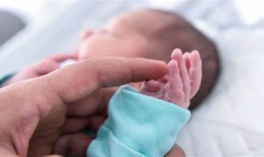 أعلى 10 محافظات في عدد المواليد خلال 2022