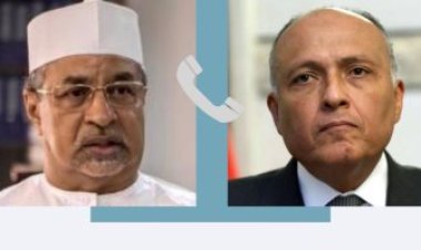 وزير الخارجية: نتطلع لتنفيذ خطة اجتماع دول جوار السودان في أقرب وقت