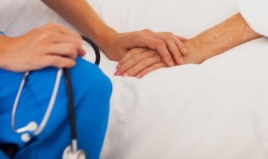 الآن تفاصيل تنسيق كلية التمريض جامعة كفر الشيخ 2023-2024