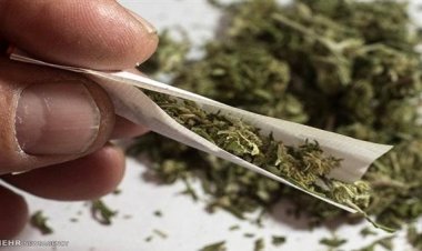 القبض على المتهم بالاتجار في  مخدر الهيدرو بالقاهرة
