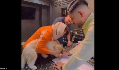 كلب يشتري شقة.. والقبض على البائع له