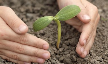 مبادرة ازرع.. إنجازات التحالف الوطني للعمل الأهلي خلال 2023