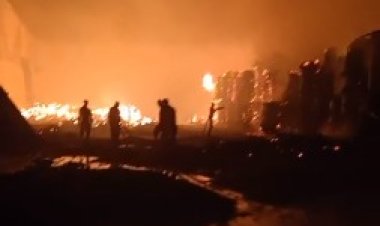 إصابة 15 شخصا فى حريق مصنع كارتون على طريق إسكندرية الصحراوي