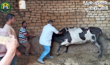 قافلة بيطرية لتحصين وعلاج رؤوس الماشية والدواجن بمركز ومدينة فايد