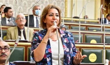 نائبة الحزب المصري الديمقراطي تتحرك برلمانياً لوقف هدم «الجبانات التاريخية»