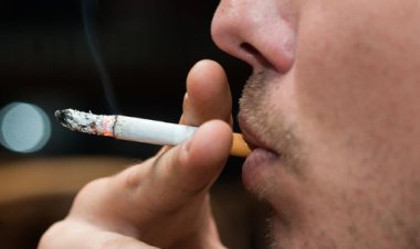 رئيس اللجنة الدولية لمكافحة التبغ: هناك 8 ملايين شخص يموت سنوياً بسبب التدخين