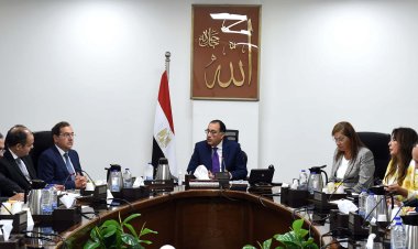 رئيس الوزراء يستعرض مقترحًا بإنشاء مصنعين للأسمدة الفوسفاتية والسيليكون المعدني لإنتاج الألواح الشمسية
