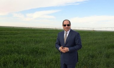 مركز البحوث الزراعية: الرئيس السيسي أعاد الحياة من جديد لمشروع توشكى