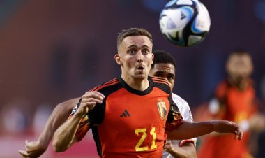 فولهام يضم البلجيكي كاستانيّ من ليستر