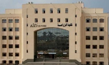 مصاريف كلية الزراعة جامعة كفر الشيخ 2023 2024