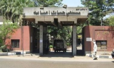 خاص| نائب مدير مستشفى حميات إمبابة: لم نرصد أي حالات مصابة بالمتحور الجديد حتى الآن
