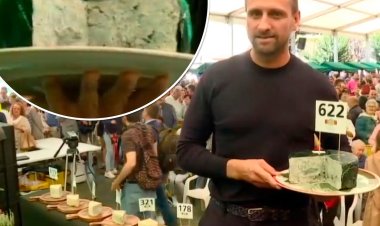 جبنة  تباع فى مزاد علني بـ 32800 دولار.. ما القصة؟