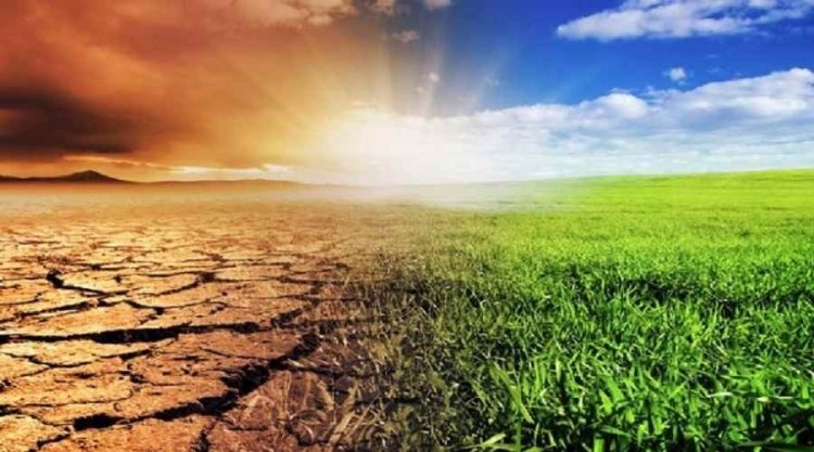 إعلامية تحذر من مخاطر التغيرات المناخية والذكاء الاصطناعي على العالم