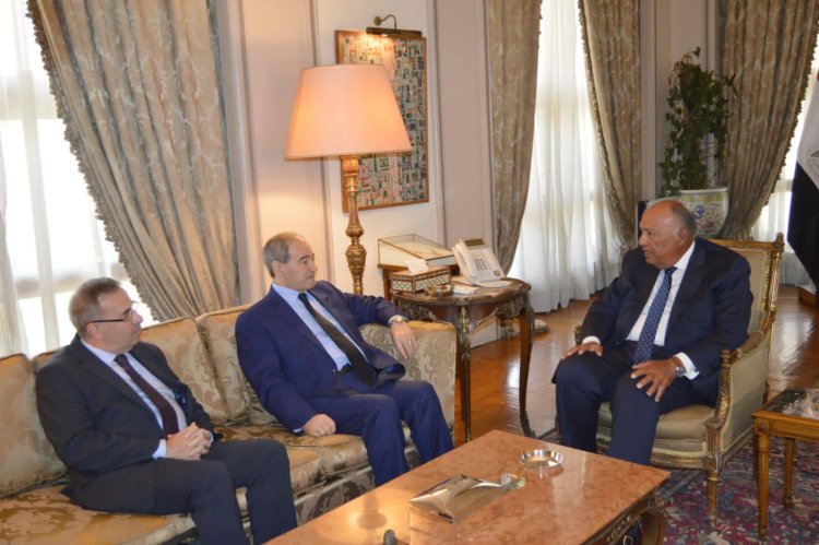 سامح شكري يستقبل وزير خارجية سوريا