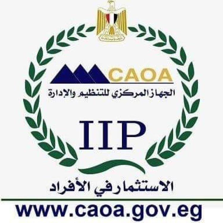 التنظيم والإدارة يطلق موقع إلكتروني للاستعلام عن ترقية موظفي الجهاز الإداري