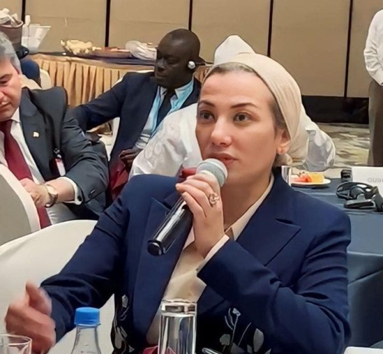 ياسمين فؤاد تشارك في جلسة الاستثمار الأخضر لتنمية القدرات الإفريقية