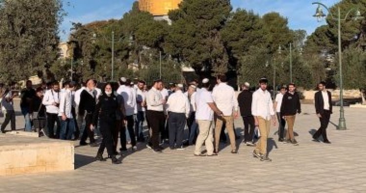 عشرات المستوطنين يقتحمون المسجد الأقصى