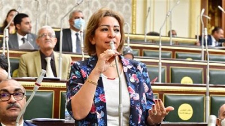 نائبة الحزب المصري الديمقراطي تتحرك برلمانياً لوقف هدم «الجبانات التاريخية»