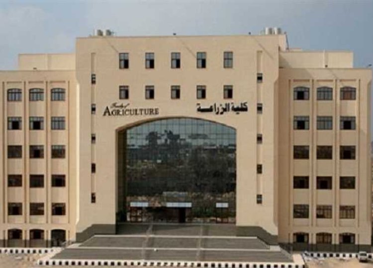 مصاريف كلية الزراعة جامعة كفر الشيخ 2023 2024