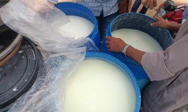 ضبط 800 كيلو لبن فاسد وتحرير 5 محاضر تموينية خلال حملات رقابية بالمنيا