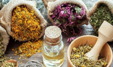 استشاري تغذية علاجية: العصائر الطبيعية لها أهمية كبيرة على الجهاز المناعي