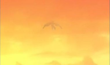 أجسام غريبة تظهر في سماء فلسطين