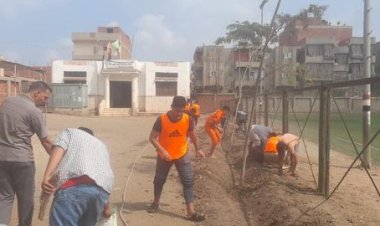 «الشباب والرياضة»  تنفذ مشروع دهانات وتشجير بمحافظة الدقهلية