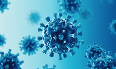 «بيرولا»  متغيرة كوفيد الجديدة.. الأعراض والعلاج