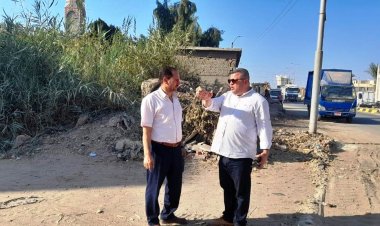 الوحدة المحلية لمدينة بني سويف تواصل جهودها لإزالة التعديات على الأراضي الزراعية