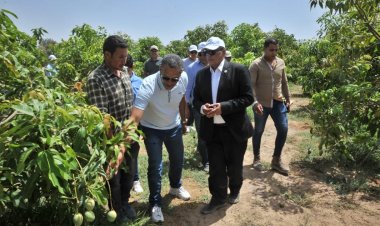 رئيس الريف المصرى الجديد: نتصدى لمشكلتى التصحر وندرة المياه بتعظيم دور البحث العلمى