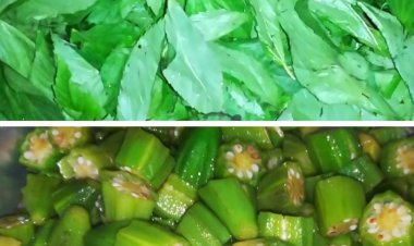 أبرزها الملوخية والبامية.. أكثر السلع المصرية تصديرًا إلى العراق