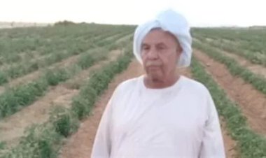الإعدام لـ 12 متهما في واقعة إنهاء حياة صاحب محلات «الفقير»